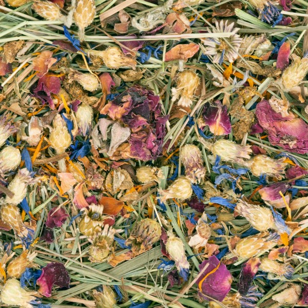 A close-up of a colourful mix of dried grasses and petals. Light green stalks form the base, featuring dark red rose petals, bright blue cornflowers, small beige-brown buds and orange accents.