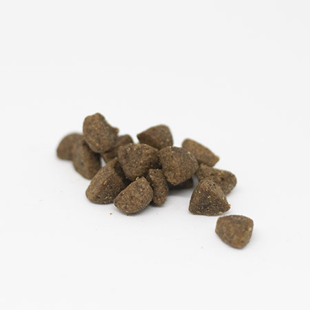 Summit10 - Cat - Adult - FRESH CHICKEN