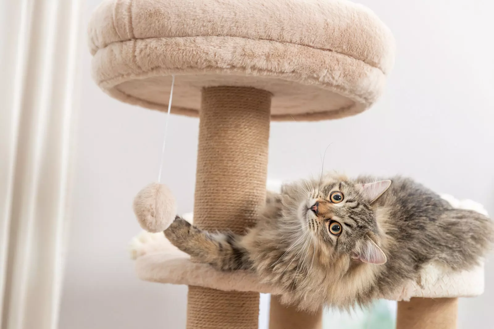 Arbre Ă chat Boho Filippo Arbre Ă chat Boho Filippo