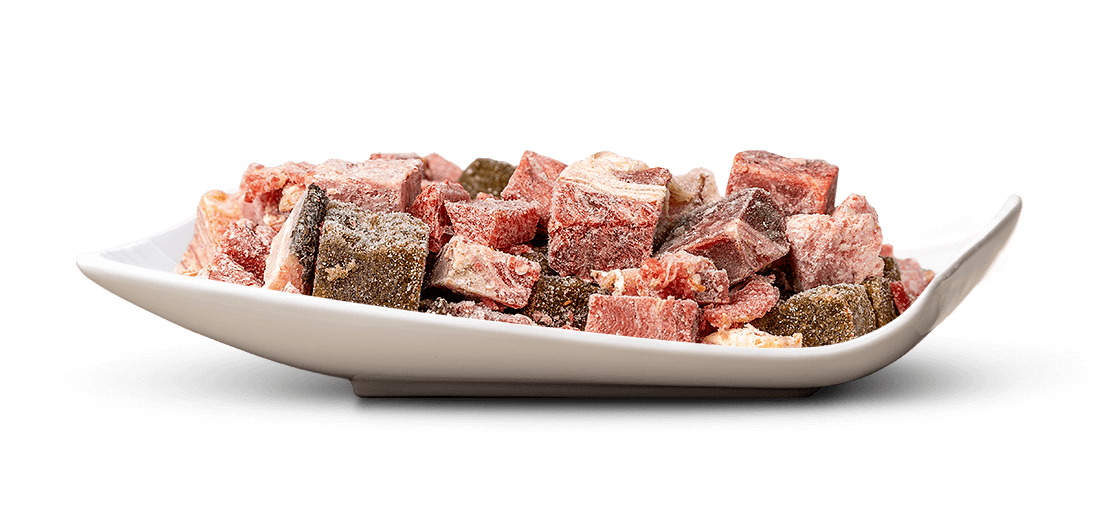 Weiße, schalenförmige Schüssel mit verschiedenen gefrorenen Fleischwürfeln und weiteren Zutaten. Die rötlich-braunen und dunkelgrünlichen Würfel sind teils mit Eiskristallen bedeckt und ähneln BARF-Futter für Haustiere.