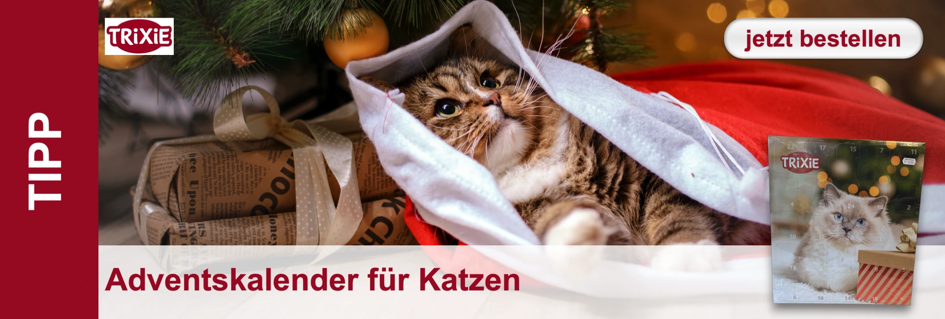 Un gatto soriano giace in un sacco di Babbo Natale davanti ai regali e al calendario dell'Avvento per gatti sotto l'albero di Natale.