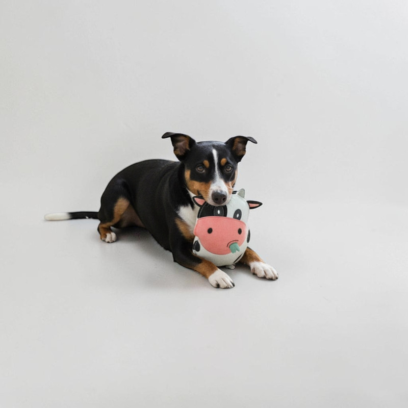 Natürliches Hundespielzeug aus Leder "Kuh"