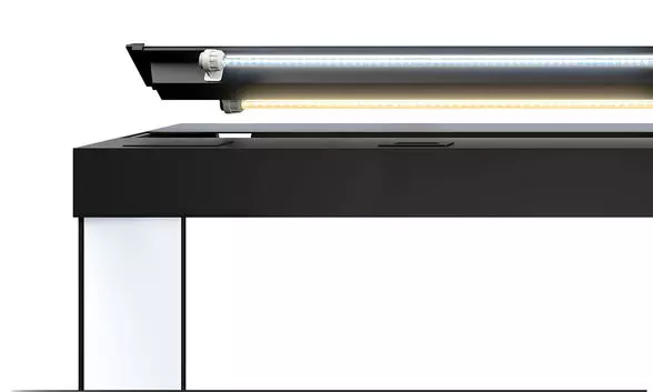 juwel-rio-125-led-5 Juwel RIO 450 - Kombination