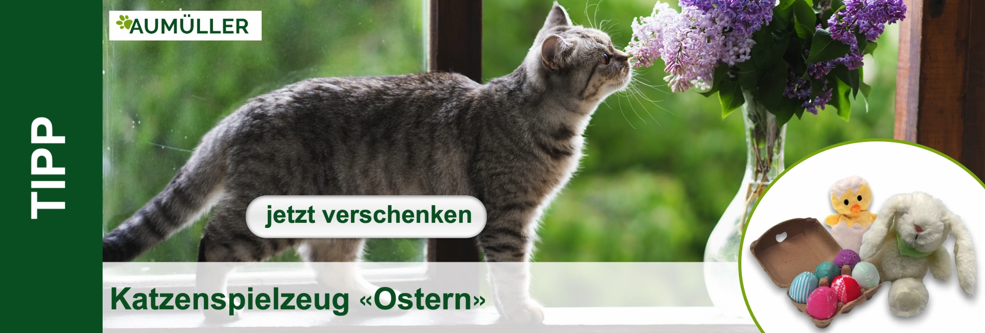 Un gatto soriano annusa un rigoglioso bouquet di fiori viola su un davanzale bianco. Decorazione pasquale in primo piano.
