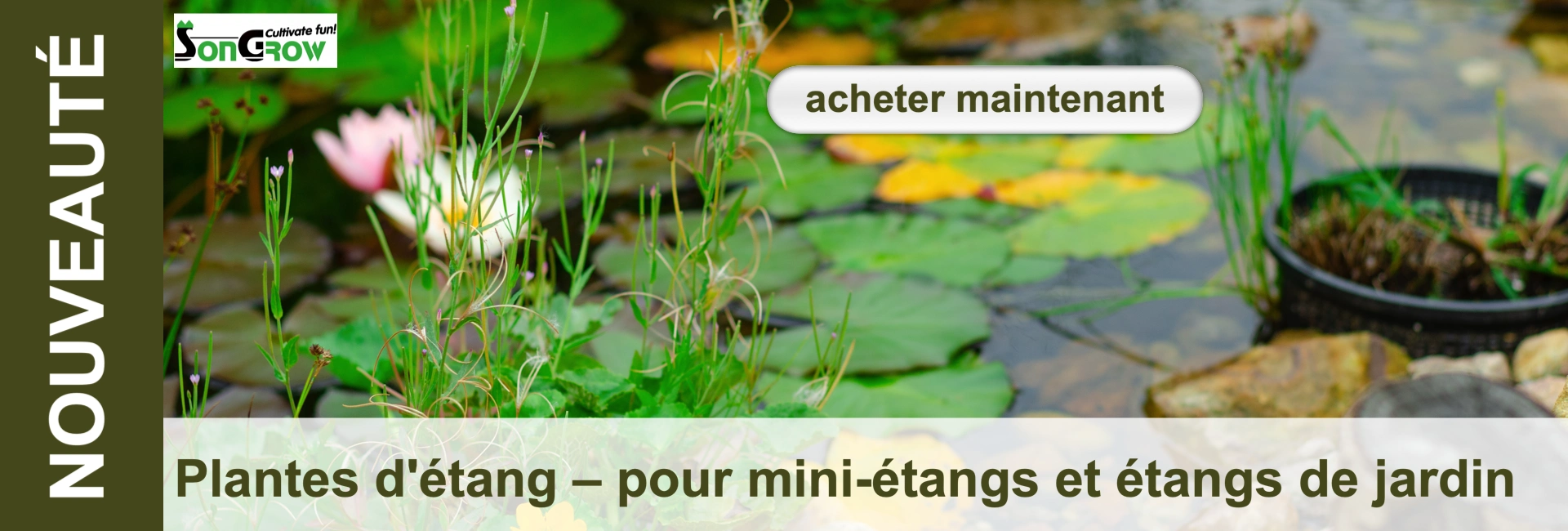 Étang paisible aux nénuphars roses et blancs, entouré de plantes aquatiques vertes et de tiges dressées aux petites fleurs violettes. Feuilles vertes et jaunes flottent à la surface, avec pierres et panier foncé au bord.