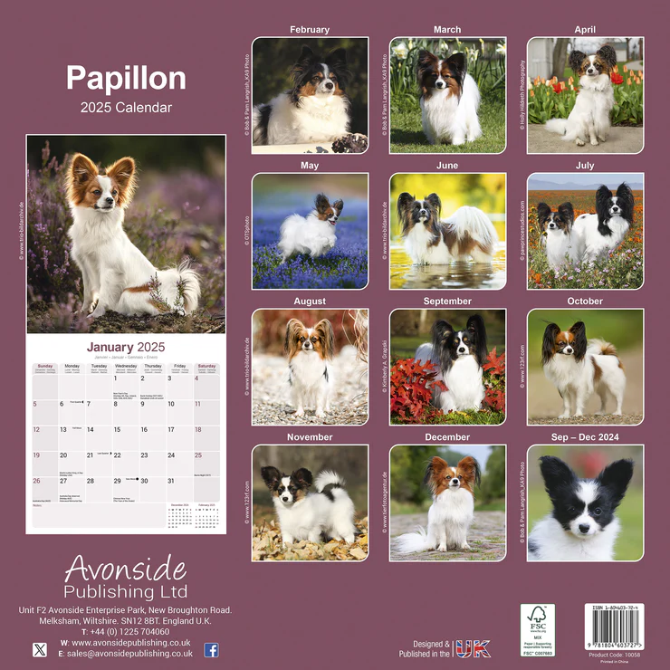 Kalender 2025 Papillon Kalender 2025 Papillon