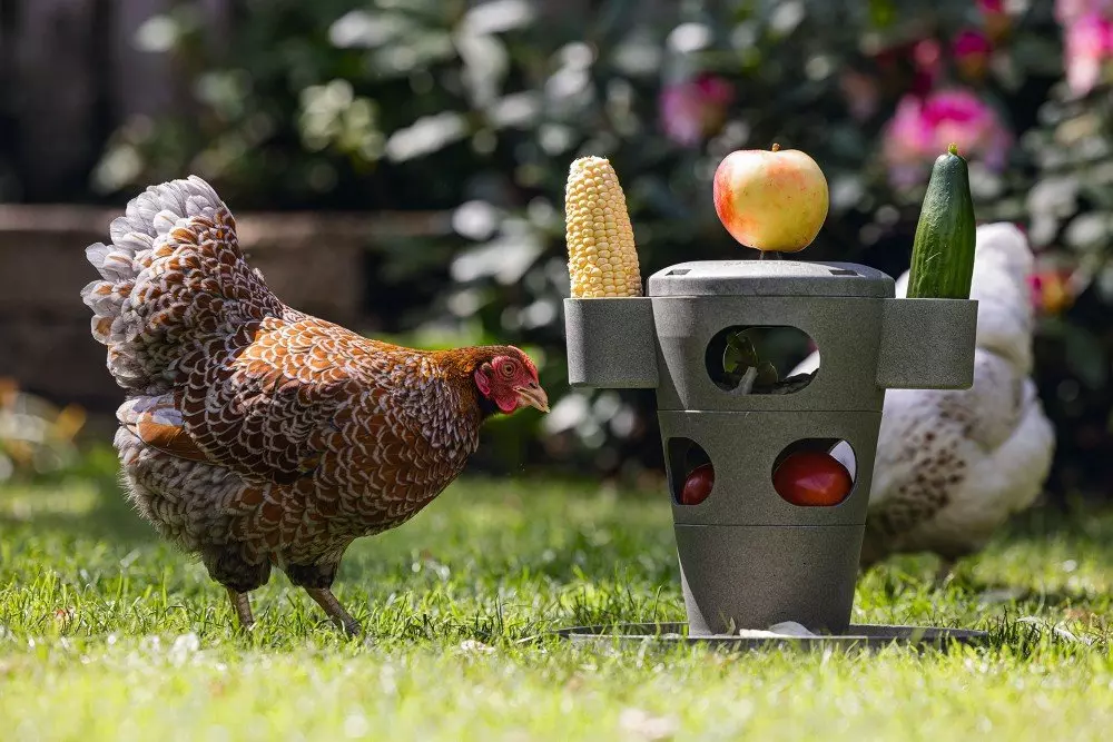 Chicken snack tower 