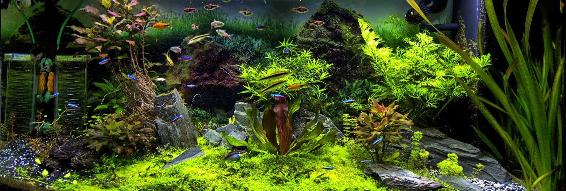 Aquarien Filter / Pumpen diverses Aquarien Filter / Pumpen diverses