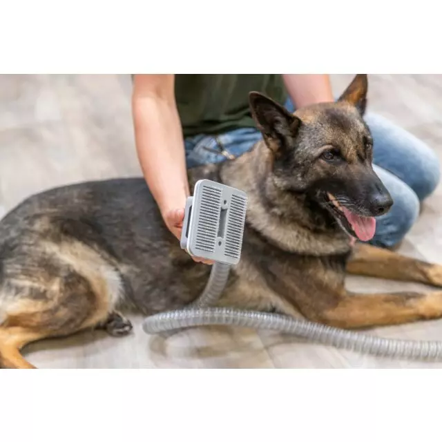 Schermaschine für Hunde mit Fellsauger