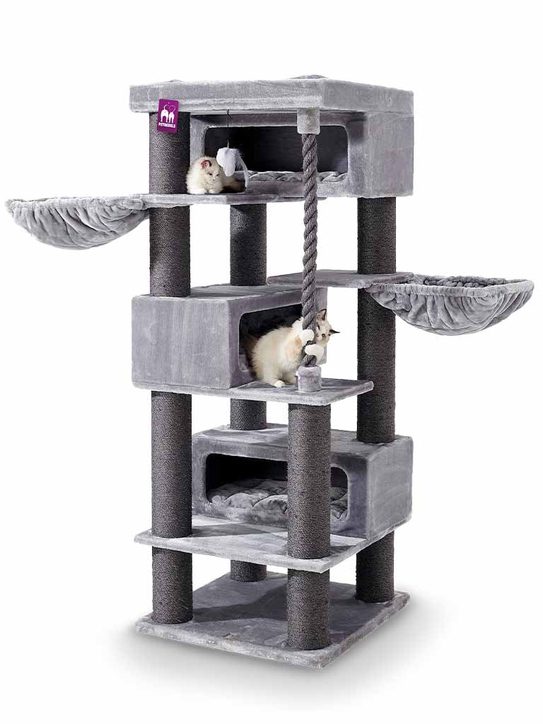 Multi-level grey cat tree with resting areas, caves and two hammocks. Two small, light-coloured kittens are playing: one is sitting at the top next to some toys, whilst the other is peeking out of a cave and playing with the braided rope. Sisal posts.