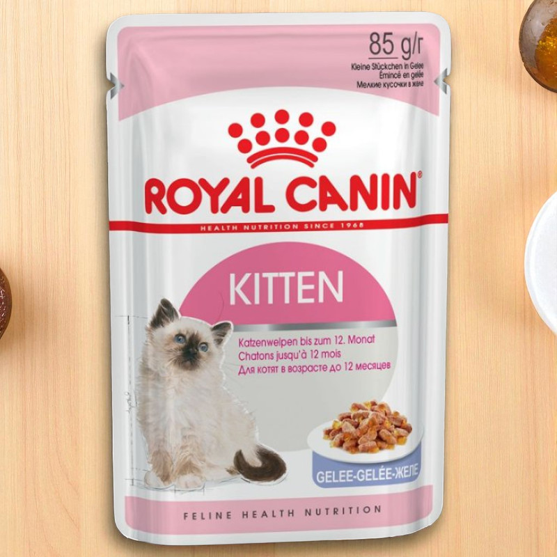 ROYAL CANIN Feline Health Nutrition Kitten in Gelee 85 g 
