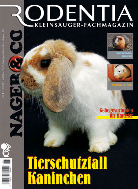 Rodentia 81 - Tierschutzfall Kaninchen