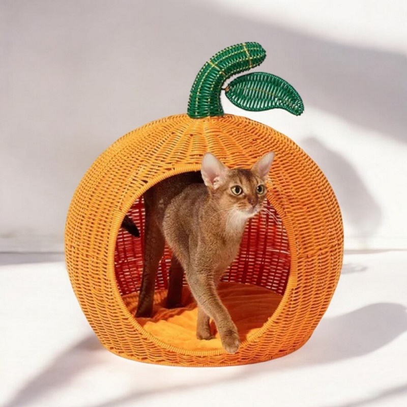 Tangerine cat cave