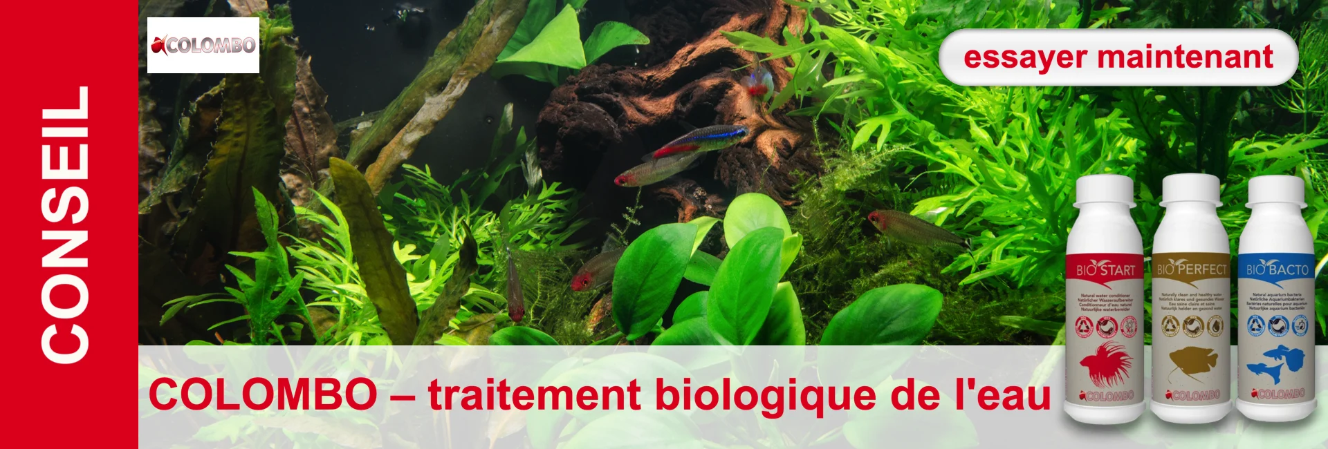 Aquarium avec poissons, plantes et trois bouteilles de produits de traitement de l'eau de Colombo au premier plan.