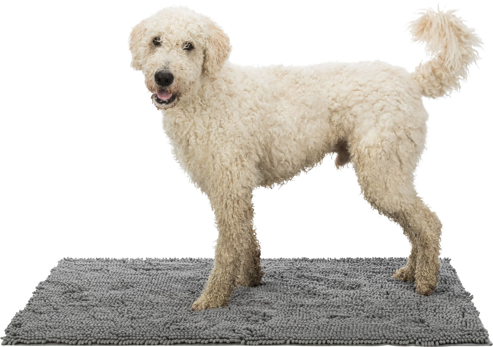 A beige, curly-haired dog stands with dirty paws on a grey, deep-pile doormat against a white background. He looks friendly at the camera whilst the mat absorbs dirt and moisture. Ideal for keeping floors clean.
