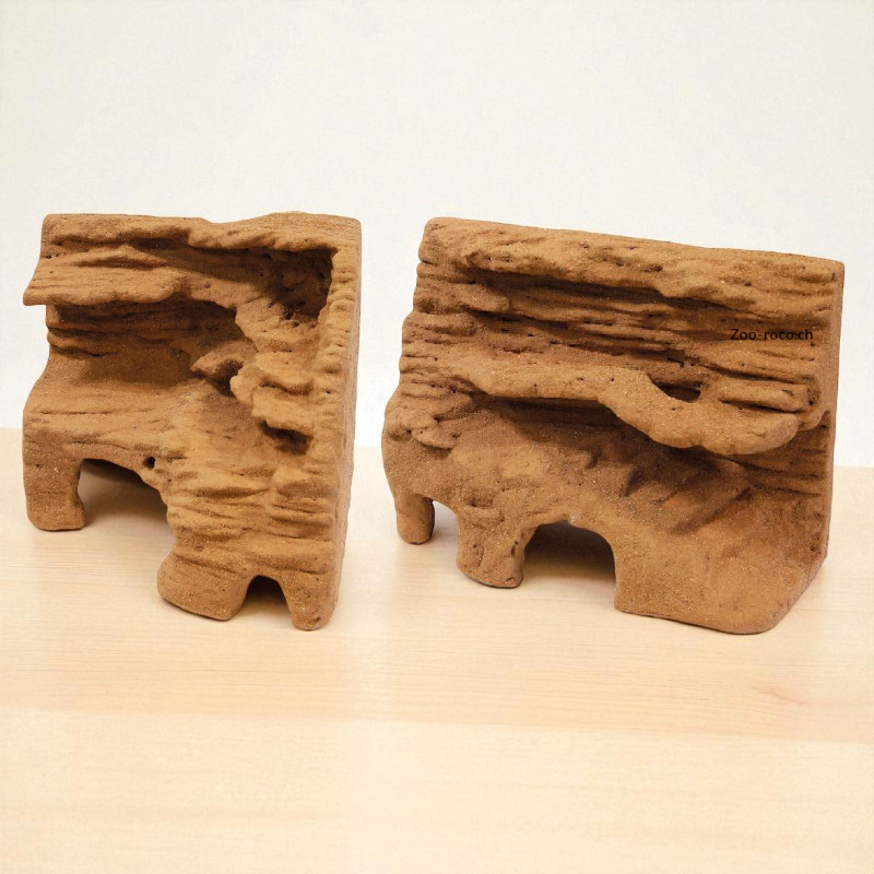 Repto Déco Araignée Hôtel  Repto Déco Araignée Hôtel