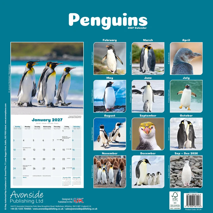 Kalender 2027 Pinguine - Pinguin - Penguins