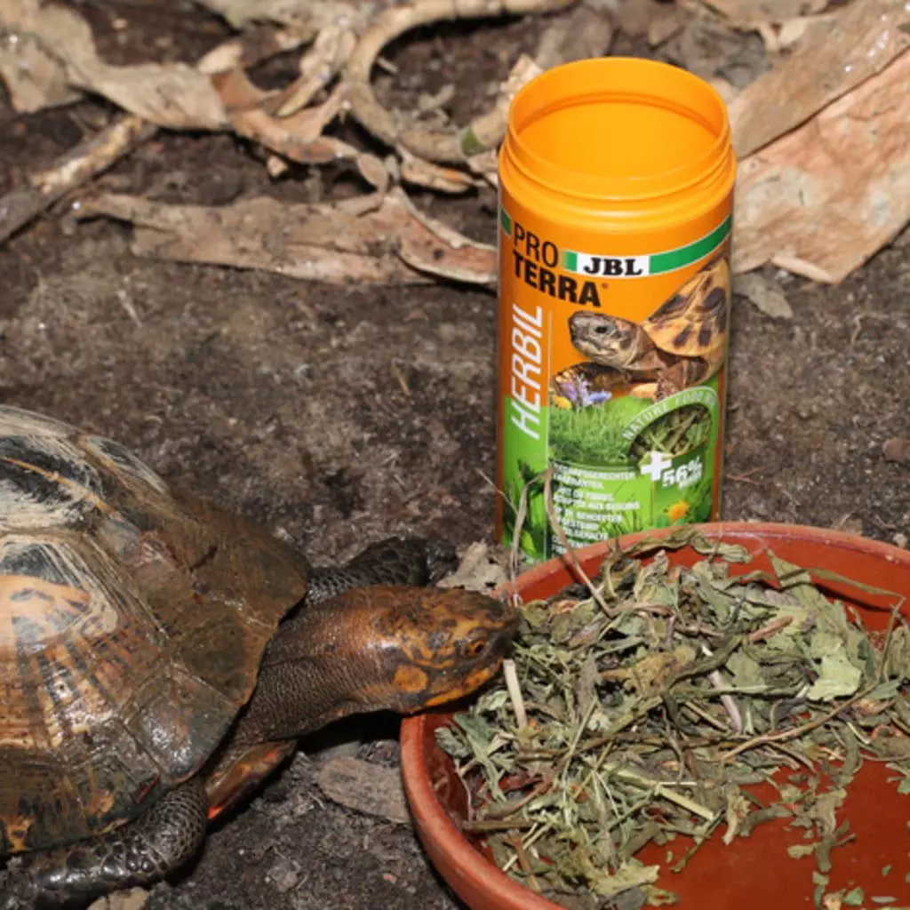 Landschildkrötenfutter JBL ProTerra Herbil Landschildkrötenfutter JBL ProTerra Herbil