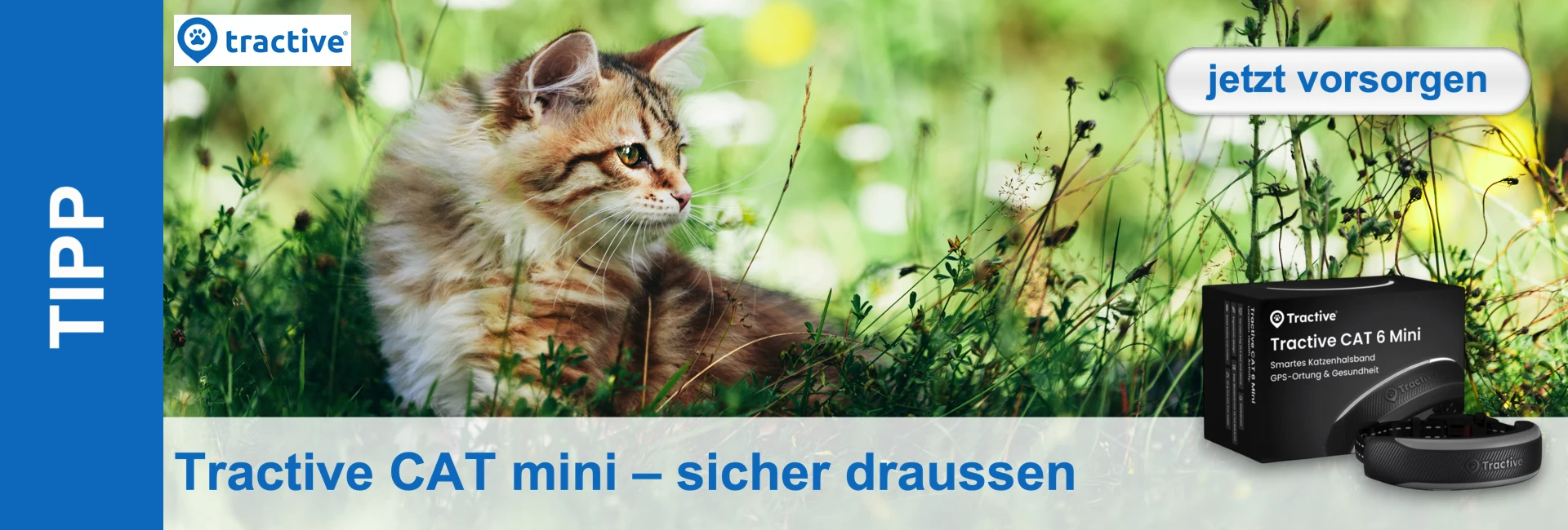 Neugieriges Tabby-Kätzchen mit braun-beigem Fell und grünen Augen sitzt aufmerksam in hohem grünem Gras und blickt leicht nach rechts. Im Hintergrund verschwimmen grüne und gelbe Farben. Unten und links blaue/weiße Tractive-Banner.
