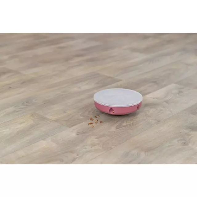 Cat Activity - Rocking Maze
