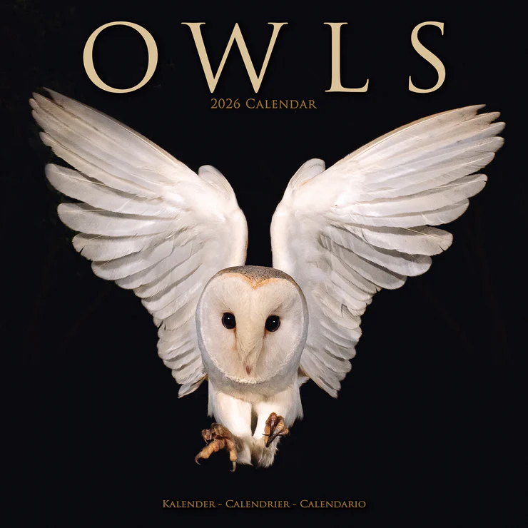 Calendar 2025 Owls