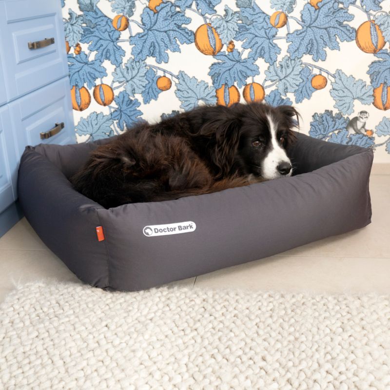 Doctor Bark - Orthopädisches Hundebett - grau