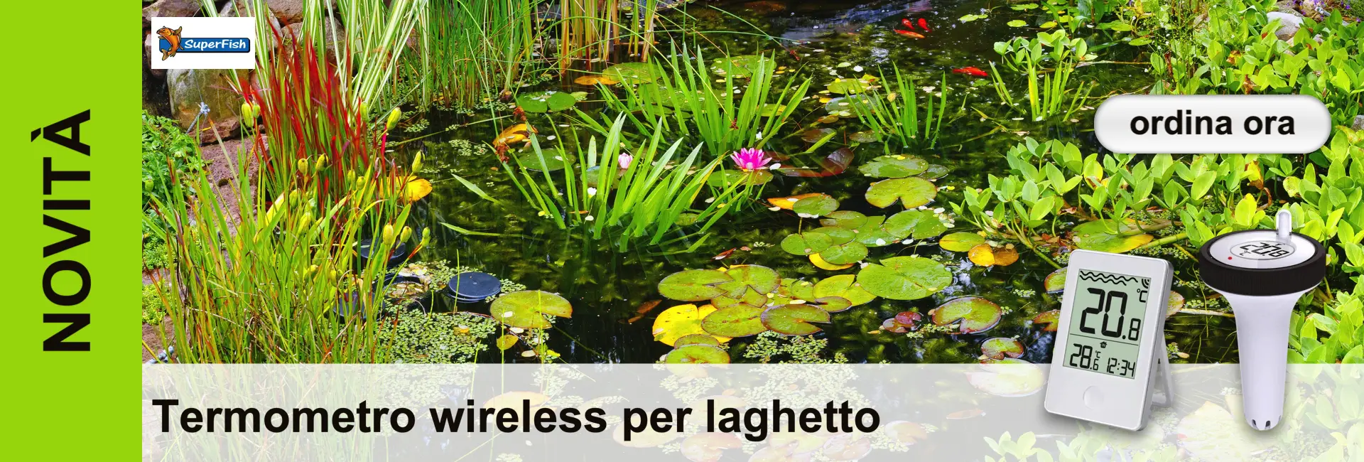 Stagno con ninfee, pesci e vegetazione verde sulla riva, una barra verde con testo sulla parte anteriore sinistra. Un termometro digitale sulla destra.