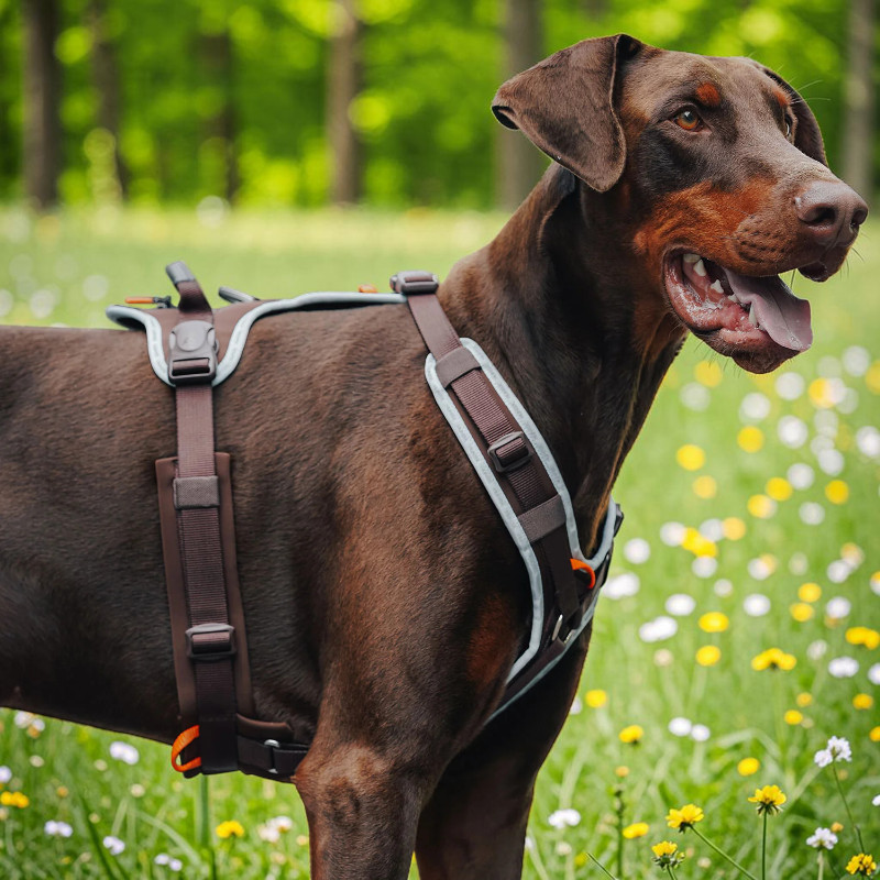 ErgoMove Pro Brown harness