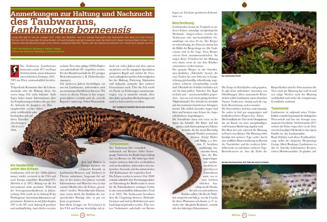 reptilia-123-1 Reptilia 123 - Bepflanzung von Pfeilgiftfrosch-Terrarien