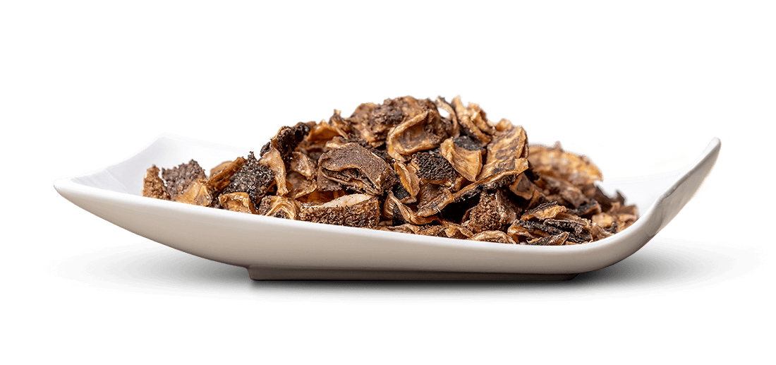 Eine elegant geschwungene, weiße Porzellanschale zeigt einen hohen Berg getrockneter Pilzstücke. Dunkelbraune, unregelmäßige Stücke mit faltiger, teils genoppter Oberfläche, ähnlich Trüffeln oder Morcheln, vor weißem Hintergrund.