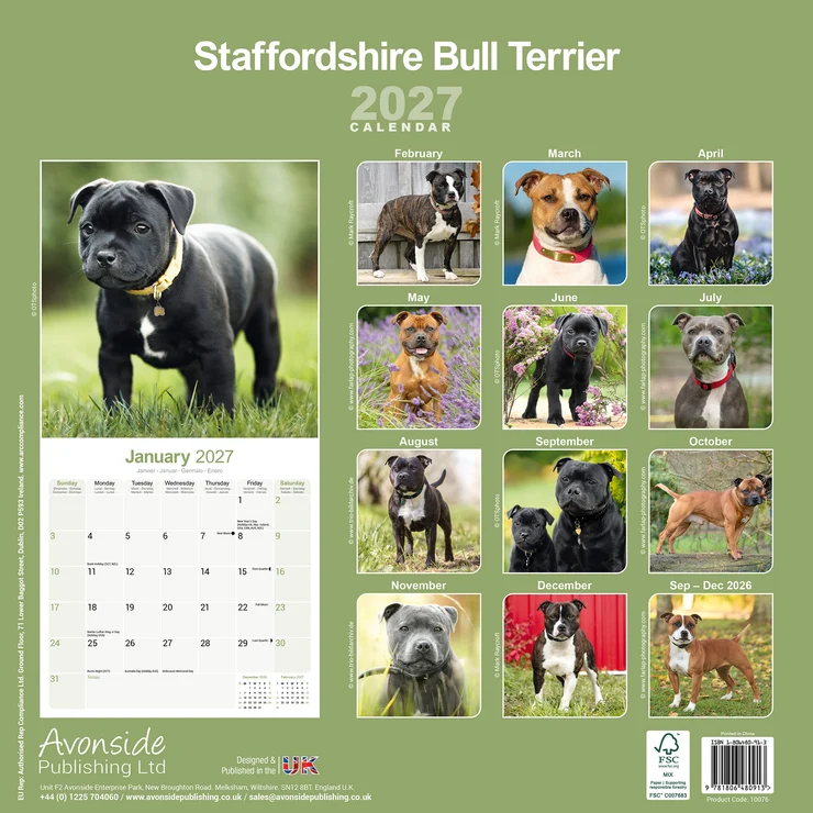 Kalender 2027 Staffordshire Bull Terrier