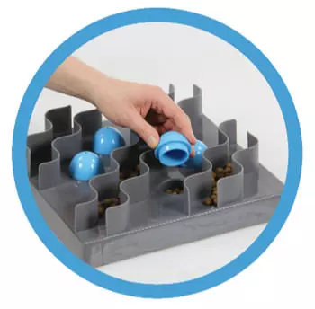 Jouet pour chien gris Swisspet Cleverplay Wave avec gobelets bleus et friandises, main placée gobelets bleus.
