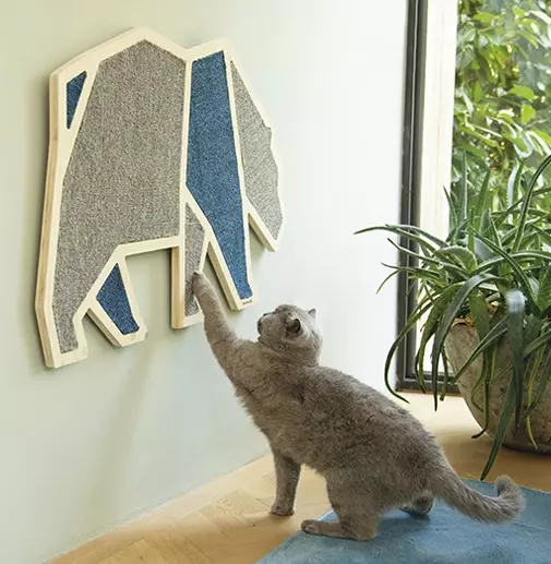 Scratching board Wood Blue Bear