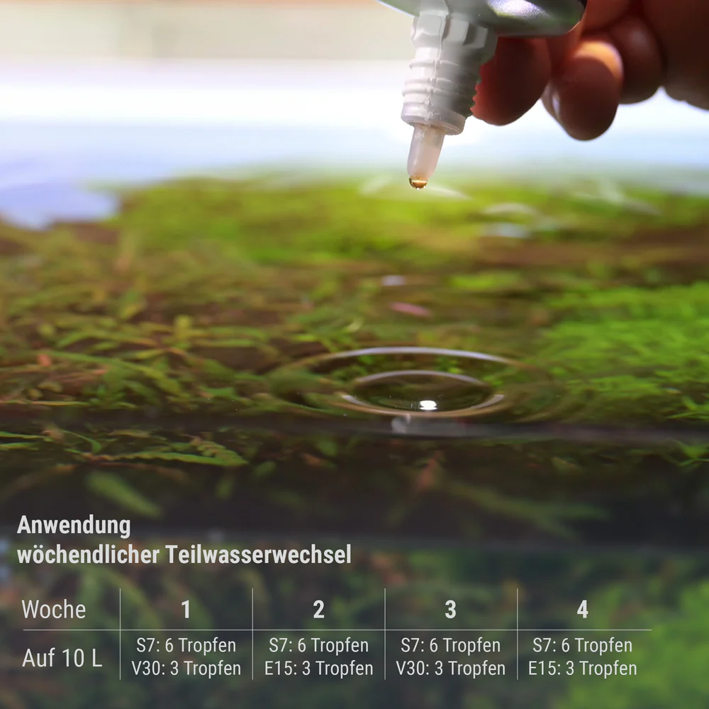 Dennerle Plant System Set Nano 