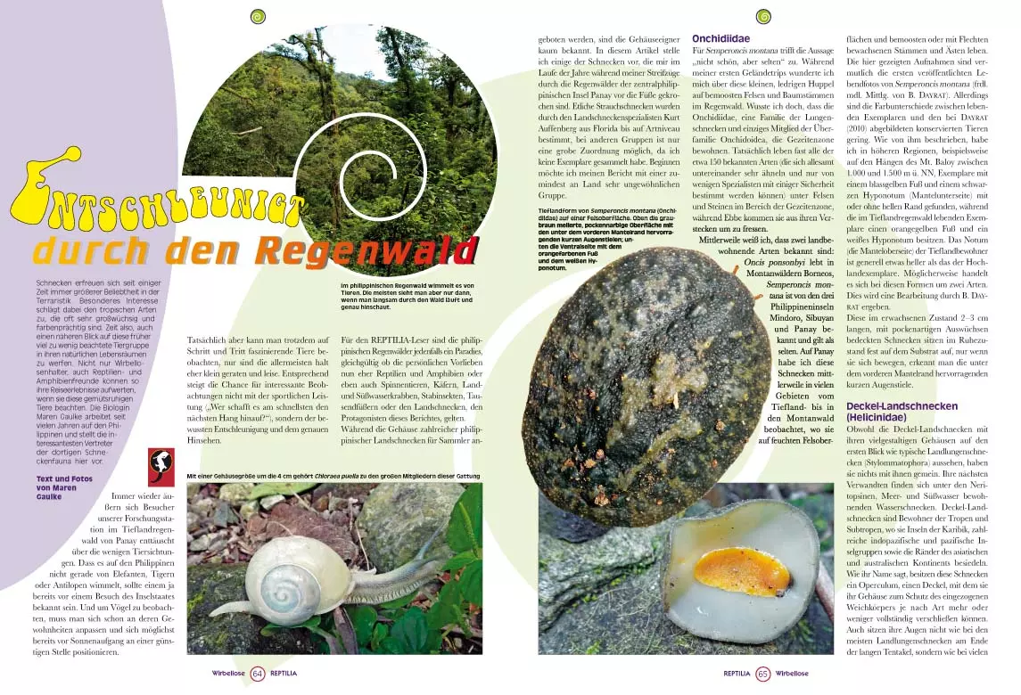 reptilia-114-1 Reptilia 114 - Jurassic World im Wohnzimmer, Saurier für das Terrarium