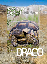 Draco Nr. 32, Mediterrane Landschildkröten