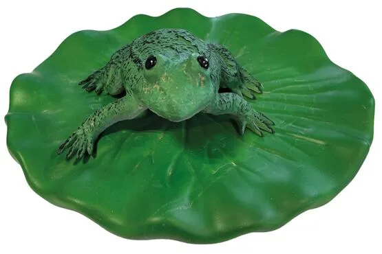 Frosch auf Seerosenblatt