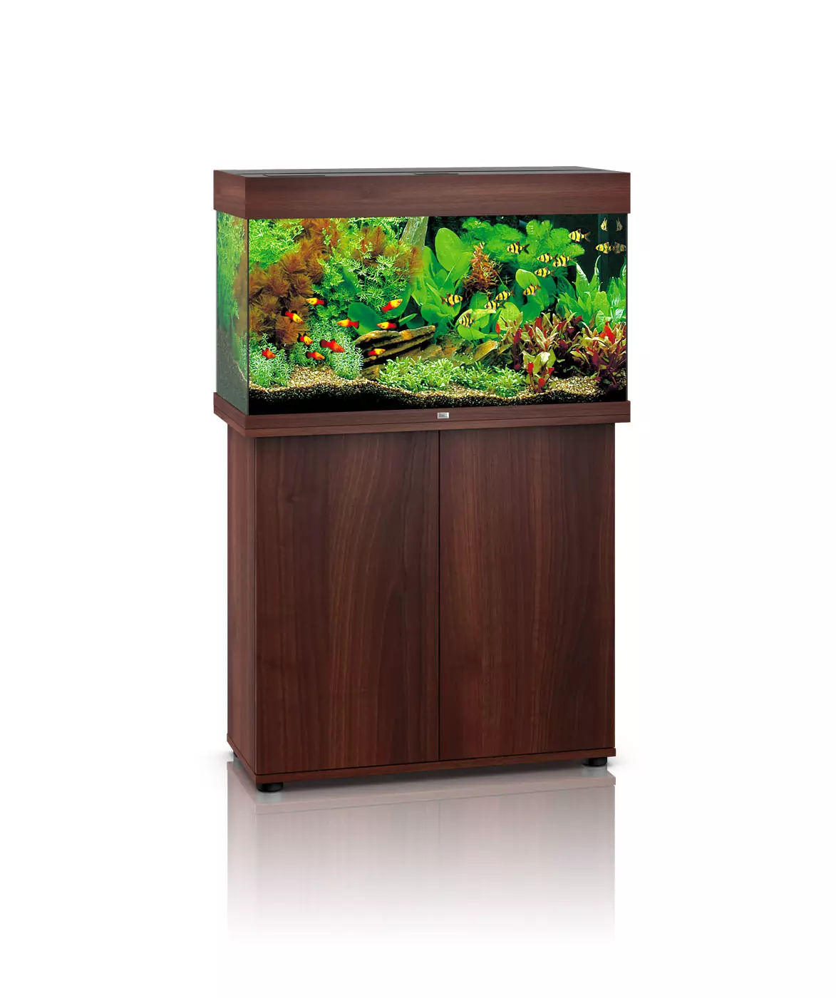 rio-125-braun Juwel Aquariumkombination Rio 125