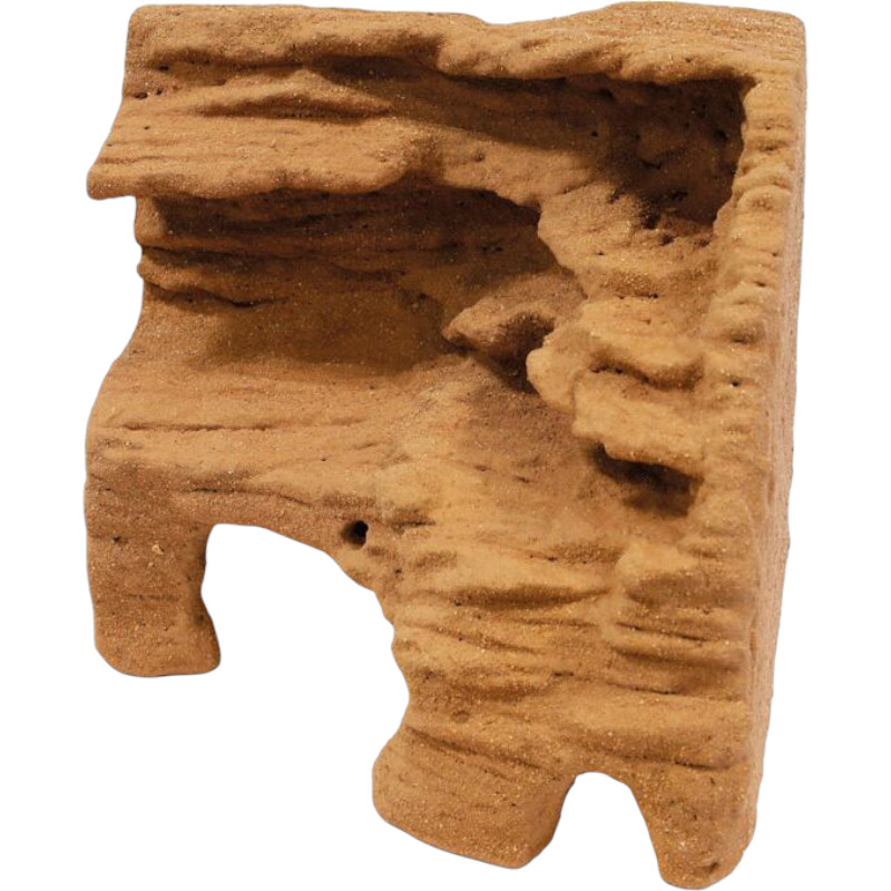 Repto Déco Araignée Hôtel 