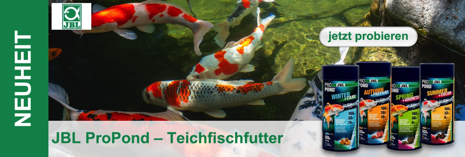 Diverse koi nuotano in uno stagno. In primo piano ci sono quattro contenitori di cibo per pesci da laghetto JBL ProPond.