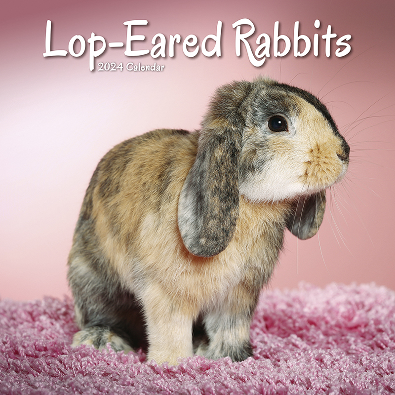 Kalender 2024 Lop-Eared Rabbits - Widder Kaninchen