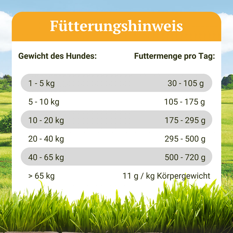 Bellfor Wildsee-Schmaus - with duck - 10 kg