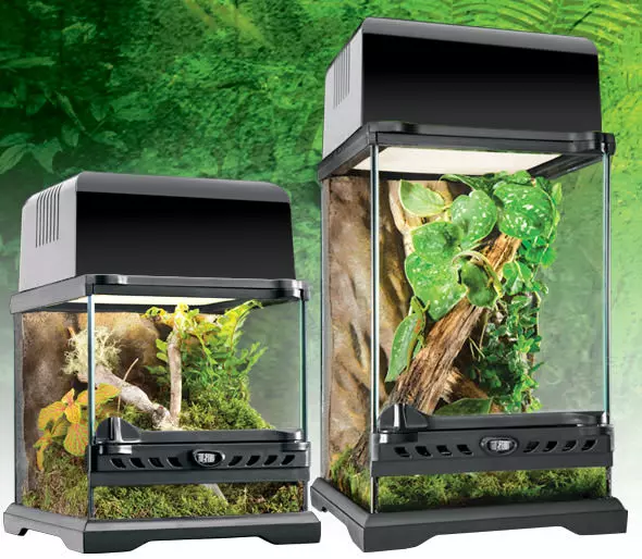 Exo Terra Nano Terrarium