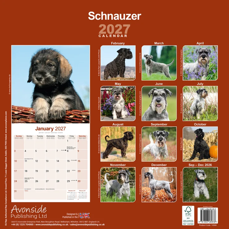 Calendrier 2026 Schnauzer