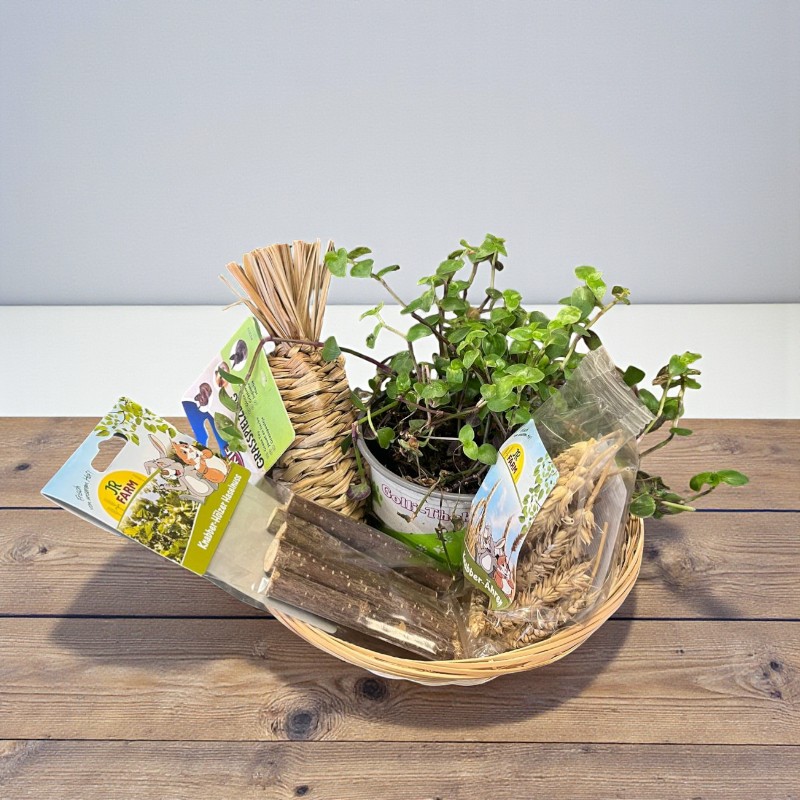 Ein Osterkorb für Nager und Kaninchen, gefüllt mit Leckereien wie Heu, Kräutern und einem kleinen Topf mit einer Pflanze.