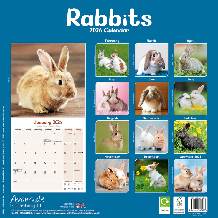 Calendar 2026 Rabbits - Dwarf Rabbits - Rabbits