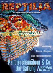 Reptilia 95 - Chamäleon & Co. Die Gattung Furcifer