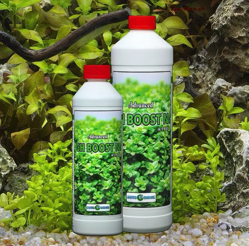 aqua-rebel-advanced-gh-boost-n