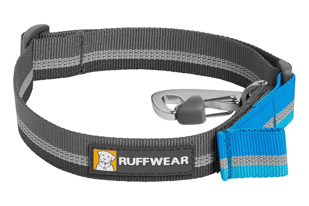 Short guide leash for dogs