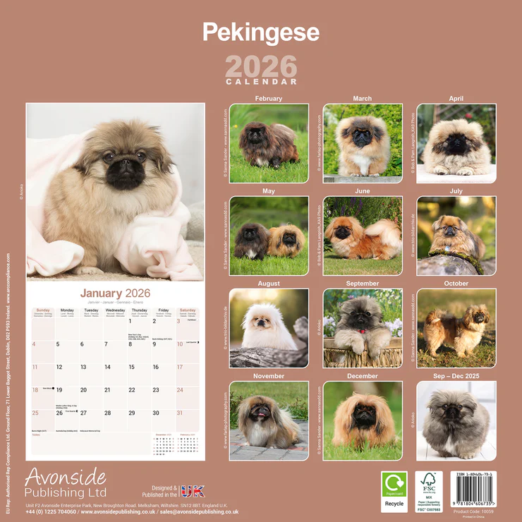 Calendar 2025 Pekinese - Pekingese - Palace Dog